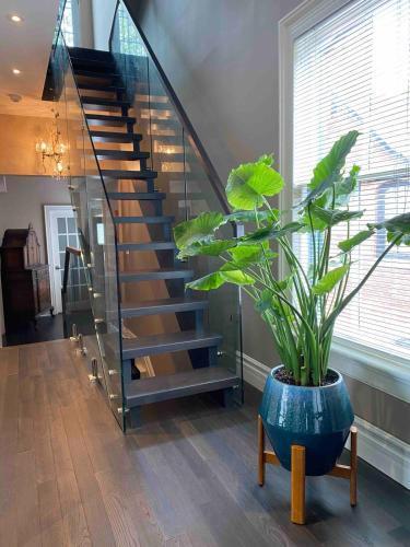 Downtown Luxury Victorian Retreat Room Type - Modern Luxury Room