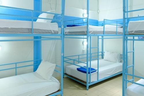 Bodega Bangkok Soi 23 Room Type - Bed in 8-Bed Mixed Dormitory Room