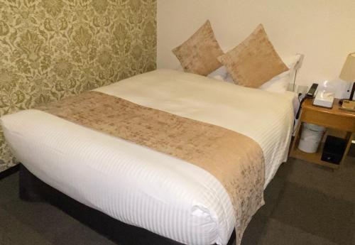 Roppongi Plaza Hotel Room Type - Economy Double Room