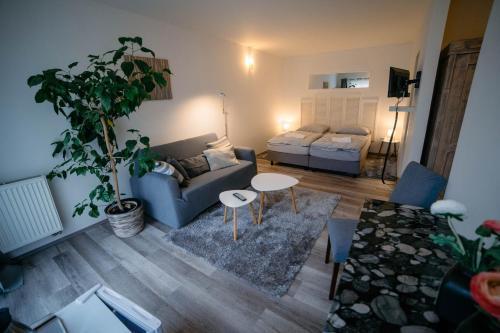 Alt Pension Room Type - Comfort Double Room