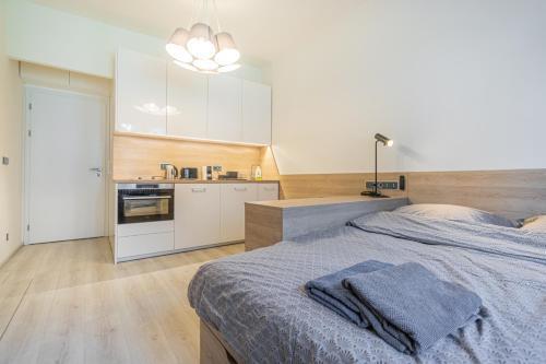 Business Studio Andel, 10 min to Centre, NETFLIX, Paid Parking - Tap to explore photos