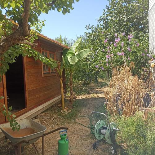 Ripe's FoRest Garden Guest House - Tap to explore photos