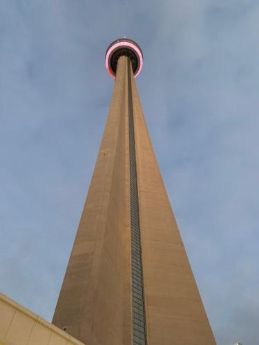 BIG Oasis Studio near Airport YYZ - Tap to explore photos