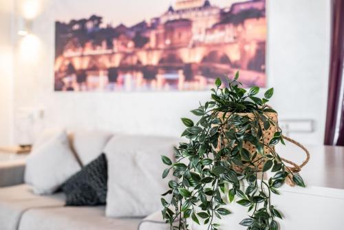Spanish Steps Apartment & Terrace - Tap to explore photos