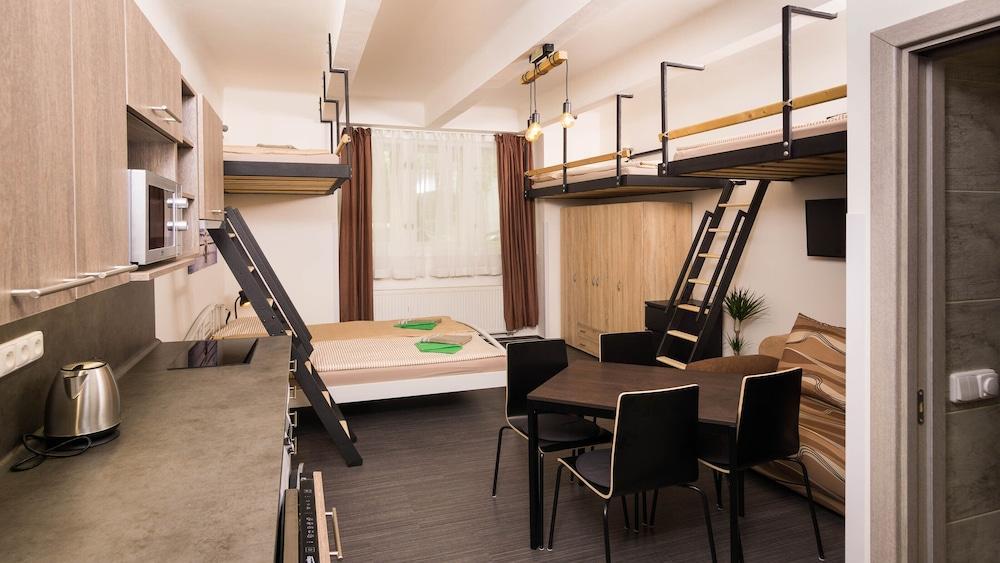Flying Bed Apartment close to Castle Room Type - Classic Studio, City View
