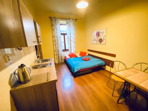 Pension 15 Homér Room Type - Standard Apartment