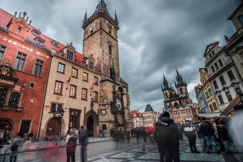 Main gallery