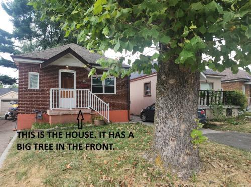 Affordable Quiet Private Room - 10-min Walk to Subway - Tap to explore photos