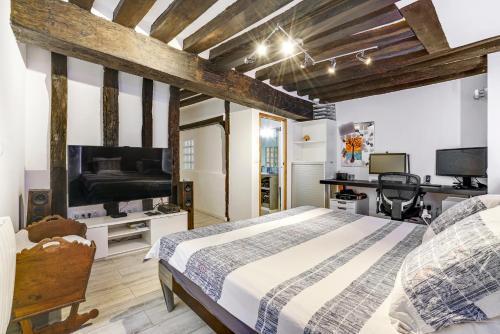 LUXURY LOFT CENTER OF PARIS