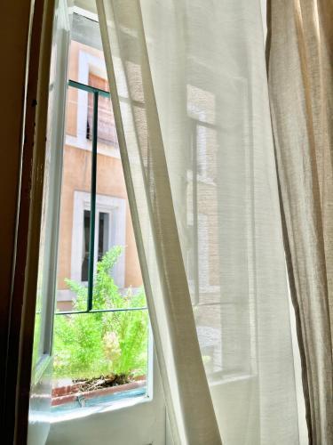 Glory house Navona Square - Tap to explore photos