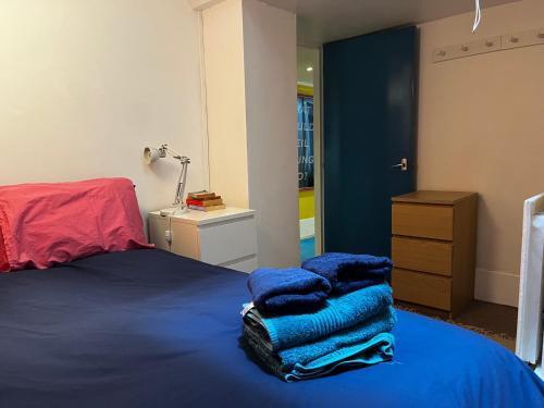Comfy child/dog friendly garden flat heart Camden - Tap to explore photos