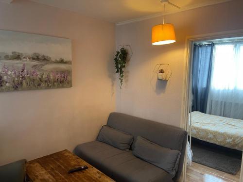 the woods 2 Room Type - One-Bedroom Apartment