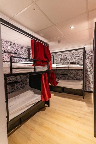 Hostelle - women only hostel London Room Type - Bed in 12-Bed Female Dormitory Room