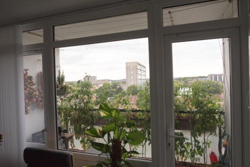 Bright and spacious 1 bed flat in Camberwell - Tap to explore photos