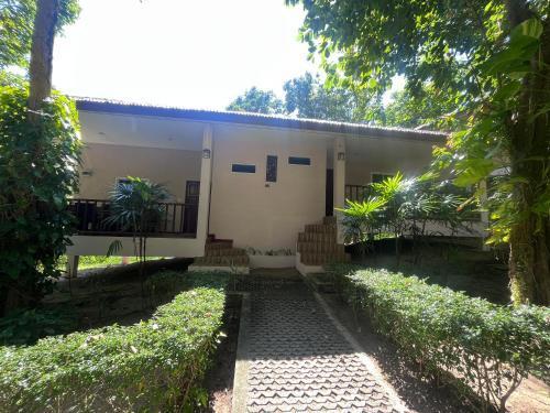 PawPaw Resort Room Type - Family Bungalow