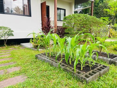 Sean Sabai Home e Ristobar Room Type - One-Bedroom House
