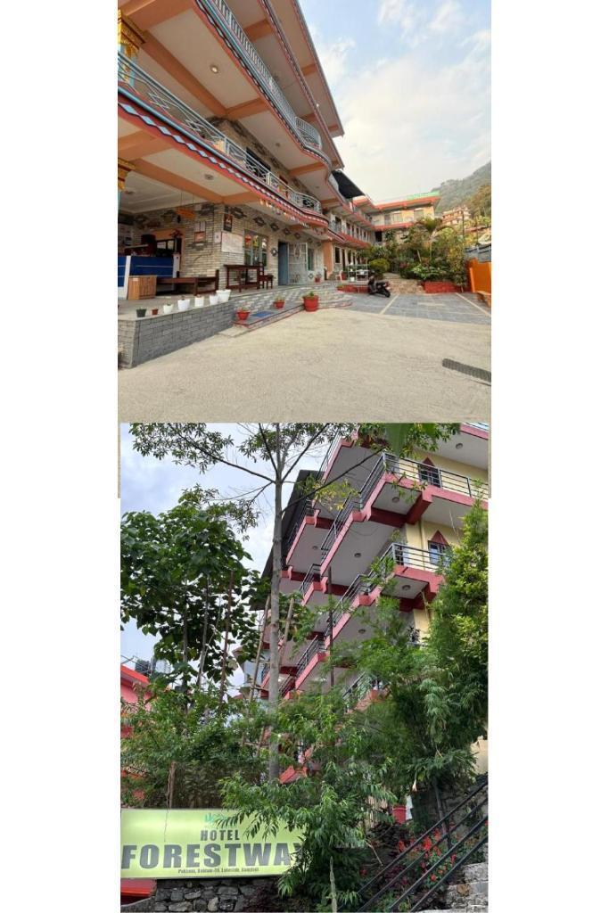HOTEL FORESTWAY Hostel & Backpackers - Tap to explore photos