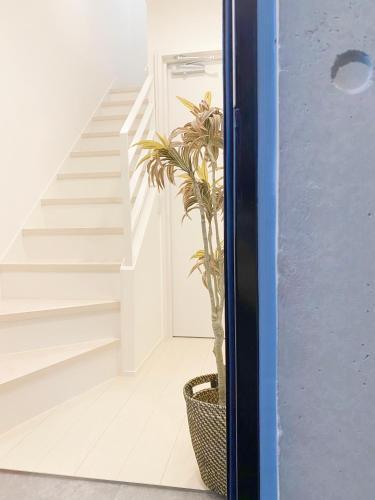 nestay apartment tokyo ginza - Tap to explore photos
