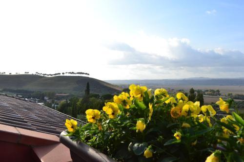 Sunnyhill Home