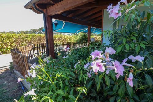 Mabell Guest House Room Type - Quadruple Room with Private Bathroom
