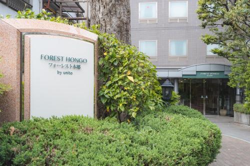 Forest Hongo by unito - Tap to explore photos