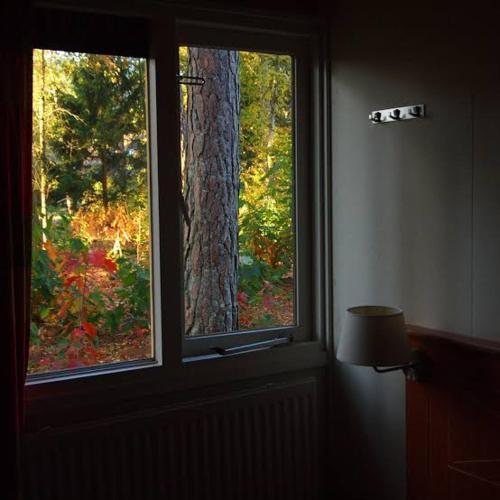 forest villa, 6 minutes from the airport