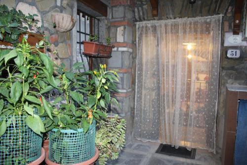 Antica Cantina Poesia, San Vito Romano - Tap to explore photos