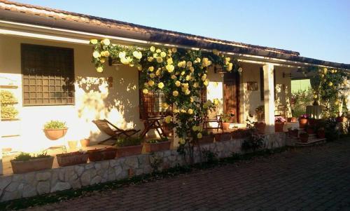 B&B RoLu Room Type - Quadruple Room with Garden View B&B RoLu Room Type - Quadruple Room with Garden View