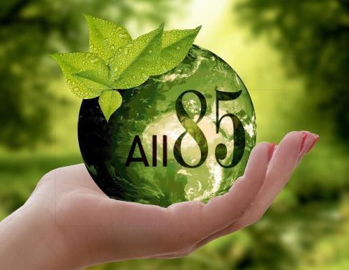 All'85 Room Type - One-Bedroom Apartment