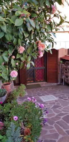 B&B Vista su Roma Room Type - Loft