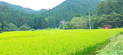 Guest house with host Takao SORA- Vacation STAY 13000 - Tap to explore photos