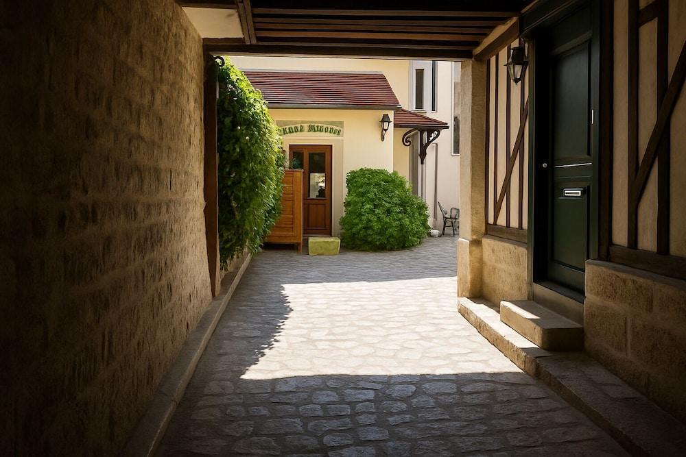 Résidence Chlorophylle