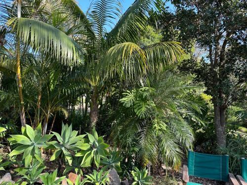 Palm Beach Bed & Breakfast Room Type - King Room with Balcony