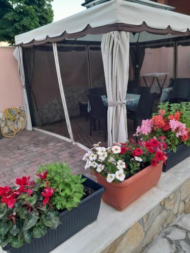 B&B Villa Jasiga Room Type - Double Room with Private Bathroom B&B Villa Jasiga Room Type - Double Room with Private Bathroom
