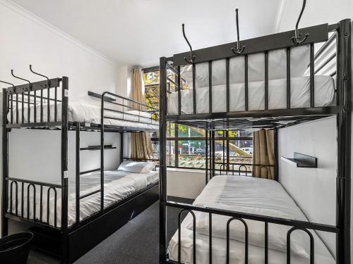 VENUS Central Sydney - FEMALE ONLY HOSTEL