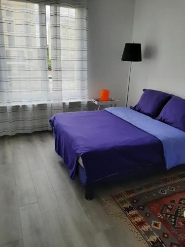 Appartement cosy de centre ville