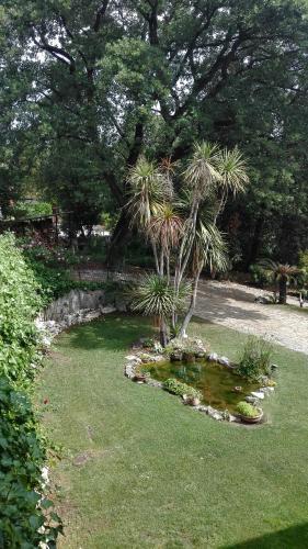 appartamento "le tre civette" Room Type - Apartment
