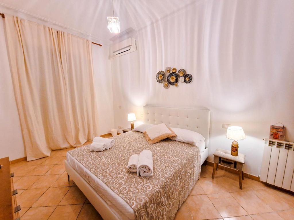 Vatican Shelter