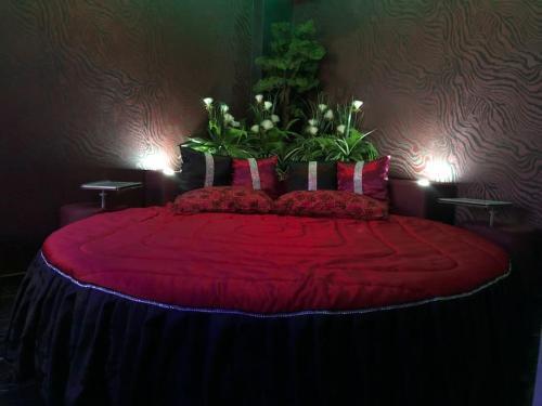 DEVILTHON SUITE NETTUNO Room Type - One-Bedroom Apartment