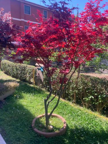 Delizioso appartamento in villa tra mare e città