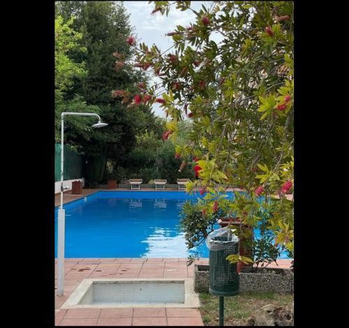 Suite close to Vatican City - Ingresso Spa Room Type - One-Bedroom Apartment
