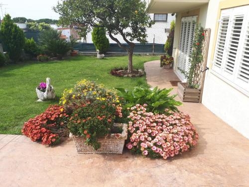 Bed and Breakfast Angolo Fiorito