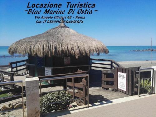 Blue Marine di Ostia - Tap to explore photos