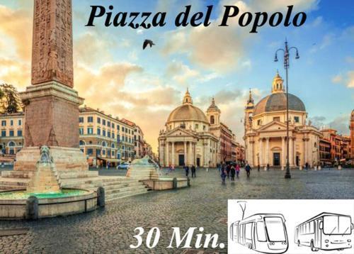 Roma Tourist Lease - Tap to explore photos
