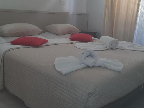 GUEST HOUSE FIDARDO Room Type - Double or Twin Room