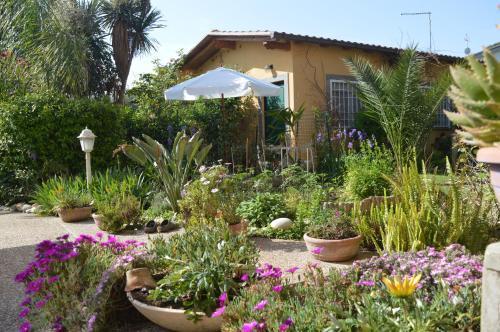 Le Cicale Room Type - Vacation Home