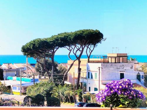 Anzio paradise Room Type - Vacation Home