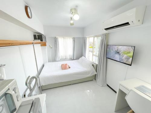 Kameari 1111 Newly Renovated High Floor City View 2min to Mall 5min to Station Disney Access Room Type - One-Bedroom Apartment