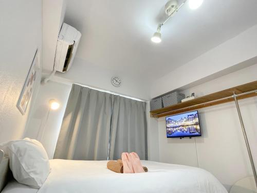 Kameari 1103 Newly Renovated High Floor City View 2min to Mall 5min to Station Disney Access - Tap to explore photos