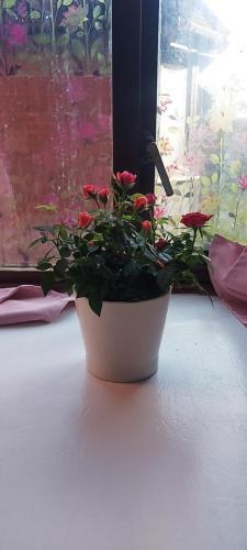 Spacious flat with free parking in Croydon - Tap to explore photos